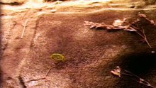 Jim Henson's The Storyteller S01E07 Sapsorrow