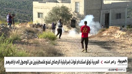 مزارعو الضفة الغربية يبدأون جني الزيتون تحت تهديد الرصاص الإسرائيلي