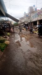 This content for evryone