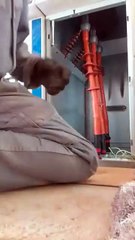 Trends Vidéo #fyp #like #short #food #eating #eati