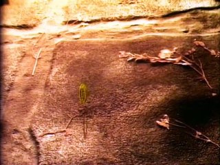 Jim Henson's The Storyteller S01E06 The Three Ravens