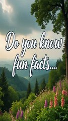 You Won’t Believe These Crazy Psychology Facts Are True 😳