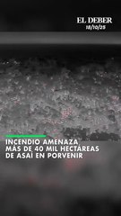 Incendio amenaza  más de 40 mil hectáreas de asaí en Porvenir