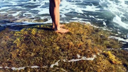 Echoes of the Ancients: A Journey through Neanderthal Lives | movie | 2025 | Official Trailer