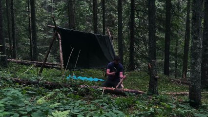 How I Survived Alone in the Forest for 24 Hours
