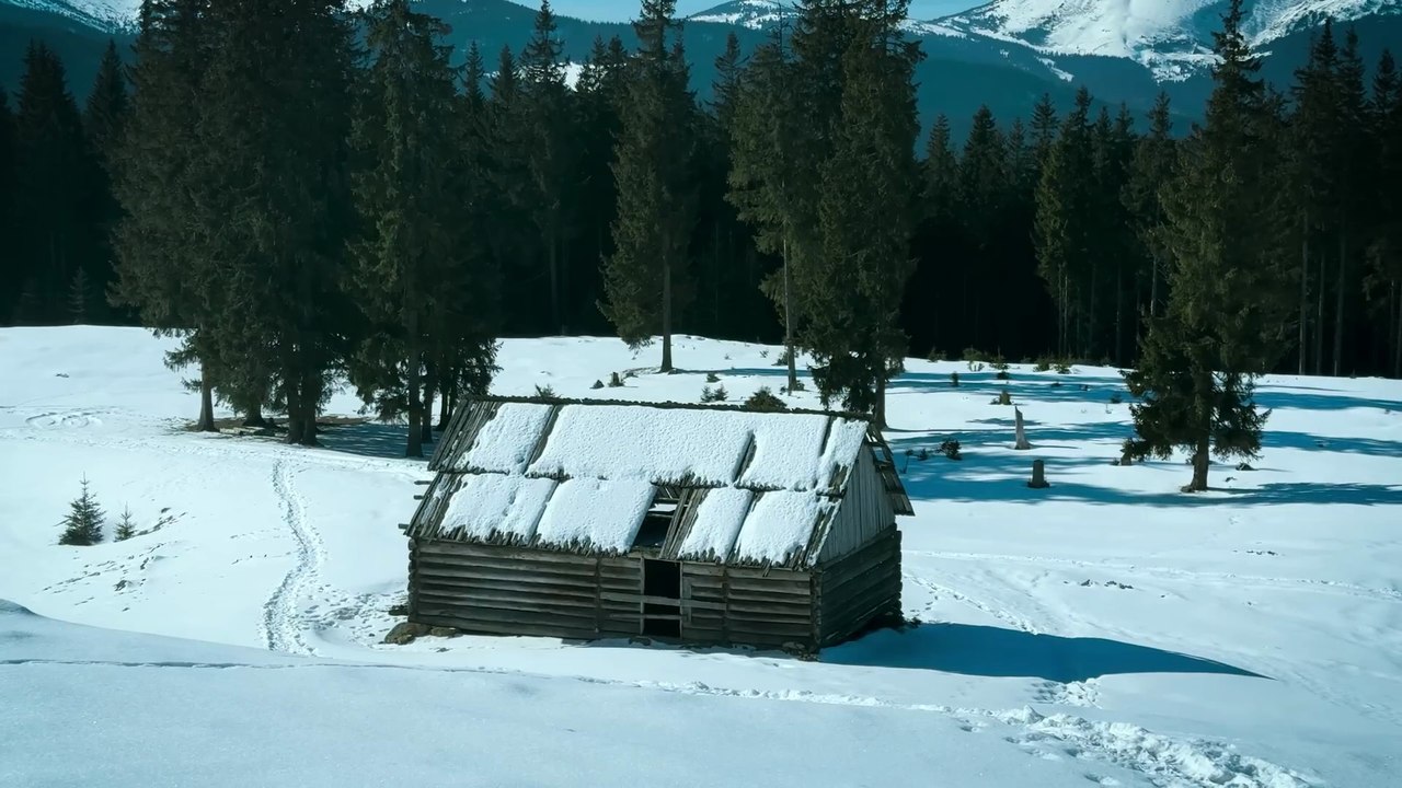 Can I Survive Alone in a Frozen Cabin