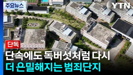 [단독] 단속 뒤에도 '독버섯'처럼 다시...더 은밀해지는 캄보디아 범죄단지 / YTN