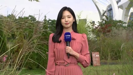 [날씨] 찬바람 불며 급격히 쌀쌀...식물원 나들이객 북적 / YTN