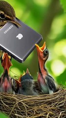 The Bird That Eats Snakes