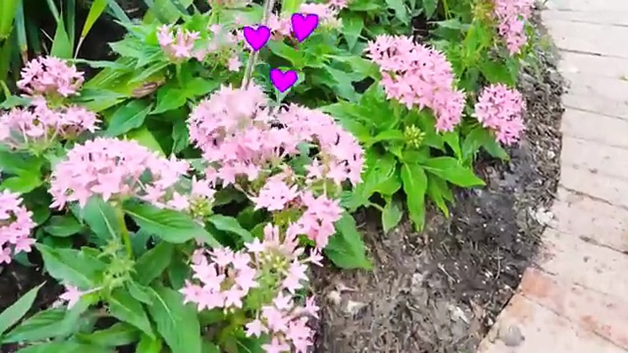 Chris learns how to help Mom and his friends _ 1 Hour Video