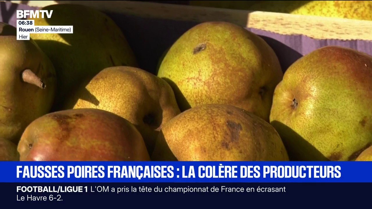 "Des fausses poires françaises": des producteurs inquiets face à la concurrence de fruits venant de Belgique ou des Pays-Bas