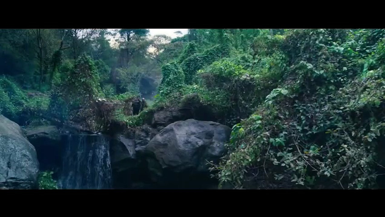 053. Bhediya 2 - First Look Trailer  Varun Dhawan  Kriti Sanon  Munjya 2 & Stree 3  Amar Kaushik 202