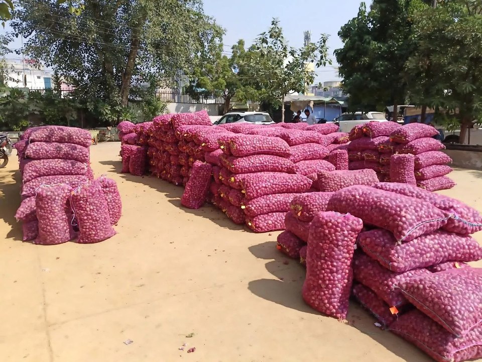 प्याज की आवक शुरू, मालाखेड़ा और खैरथल मंडियों म...