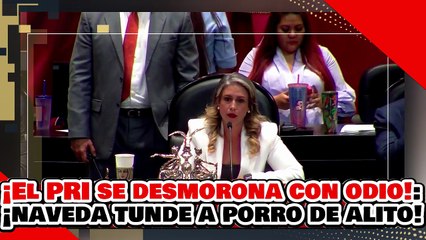 🔥🚨¡EL PRI SE DESMORONA CON ODIO! ¡’ALUMNO de NOROÑA’ DESTROZA a ‘PORRO DE ALITO’ x INSULTAR a AMLO!