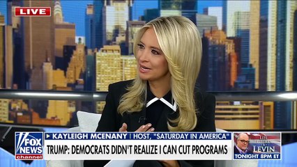 Kayleigh McEnany- Democrats 'without question' made a major miscalculation