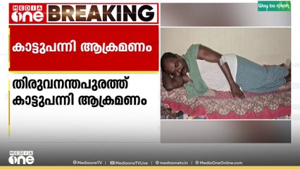 ബൈക്കിൽ യാത്ര ചെയ്യവേ കാട്ടുപന്നി ആക്രമണം; തിരുവനന്തപുരത്ത് രണ്ട് വനംവകുപ്പ് ജീവനക്കാർക്ക് പരിക്ക്