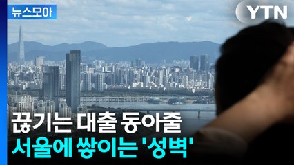 [뉴스모아] "일본 버블과 한국은 다른데"…20년 전문가도 깜짝 놀란 초강력 대책 / YTN