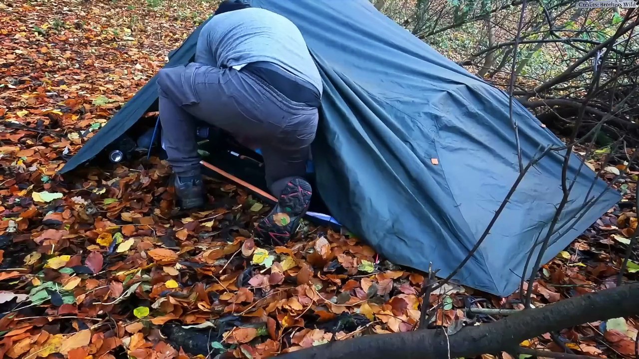 6 Real Camping Encounters Caught on Camera That’ll Haunt You Forever