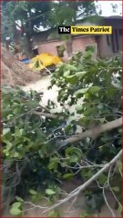 UP Cop’s Fury Over Tree Dispute: Drags Boy for Filming Police Action in Jaunpur!