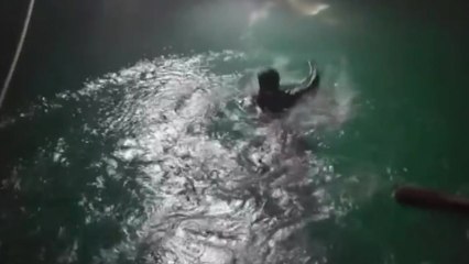 완도항서 바다 빠진 10대 구조...통화하다 발 헛디뎌 / YTN