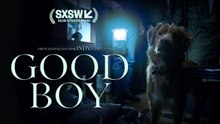 Good Boy: Confía en su Instinto | Tráiler oficial subtitulado