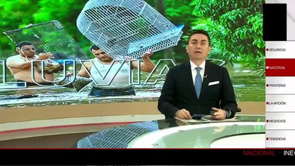 Sheinbaum anuncia plan de apoyo para familias afectadas por lluvias