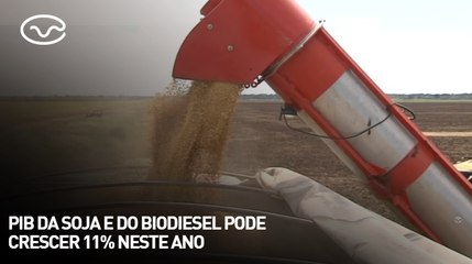 PIB da soja e do biodiesel pode crescer 11% neste ano