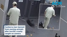 Man kicks, stomps on dog in Canberra's City Walk