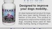 Dog Aspirin | Aspirin For Dogs | Canine Pain Relief