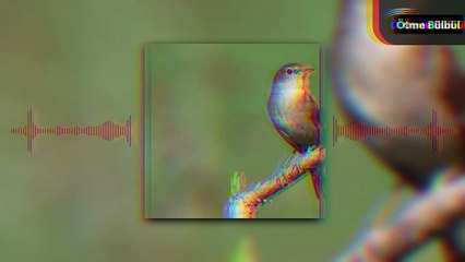 Ötme Bülbül-Ferdi Aydemir Remix