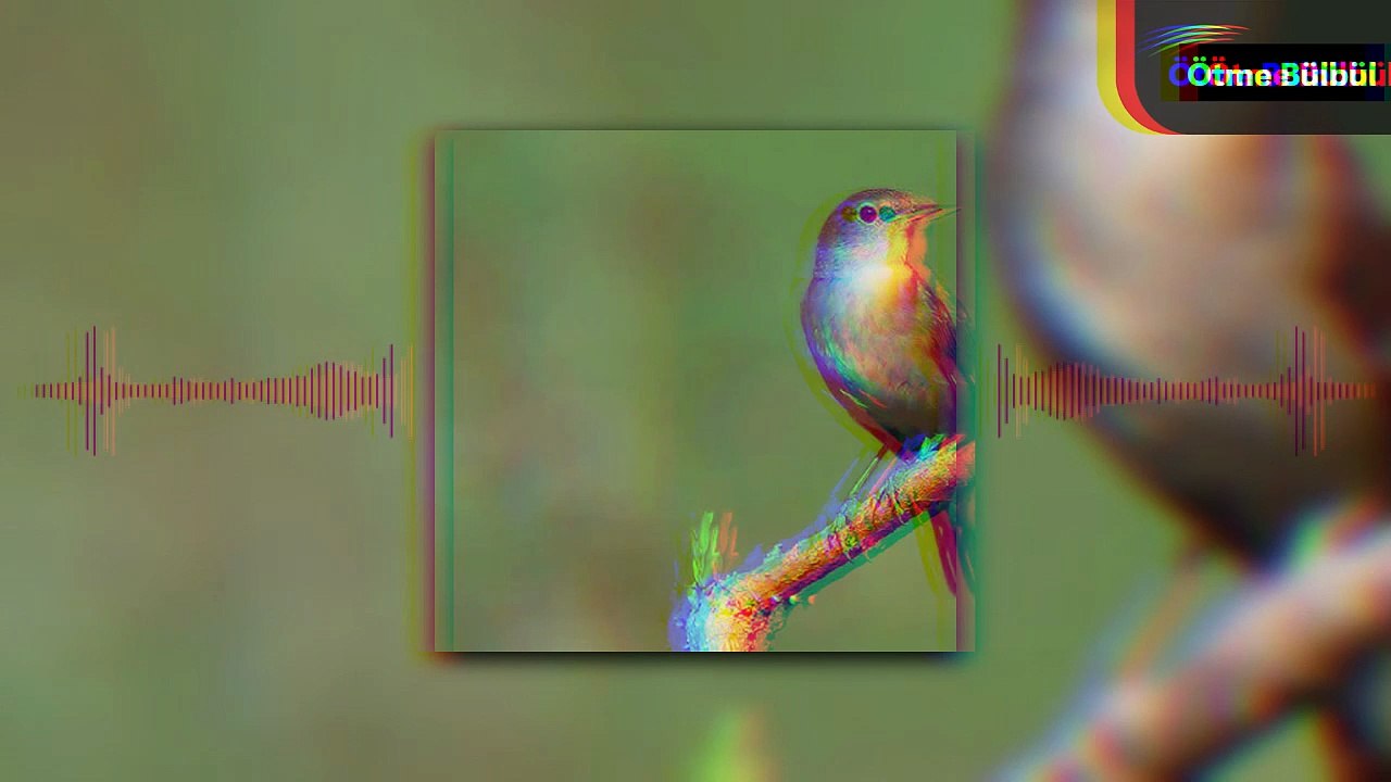 Ötme Bülbül-Ferdi Aydemir Remix