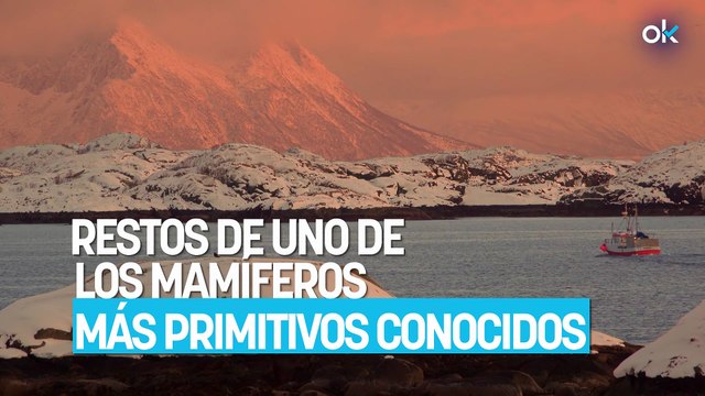 Los científicos conmocionados: encuentran en Groenlandia restos de uno de los mamíferos más primitivos conocidos