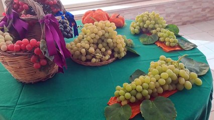 Si torna a studiare alla "scuoletta" di Casa Serena