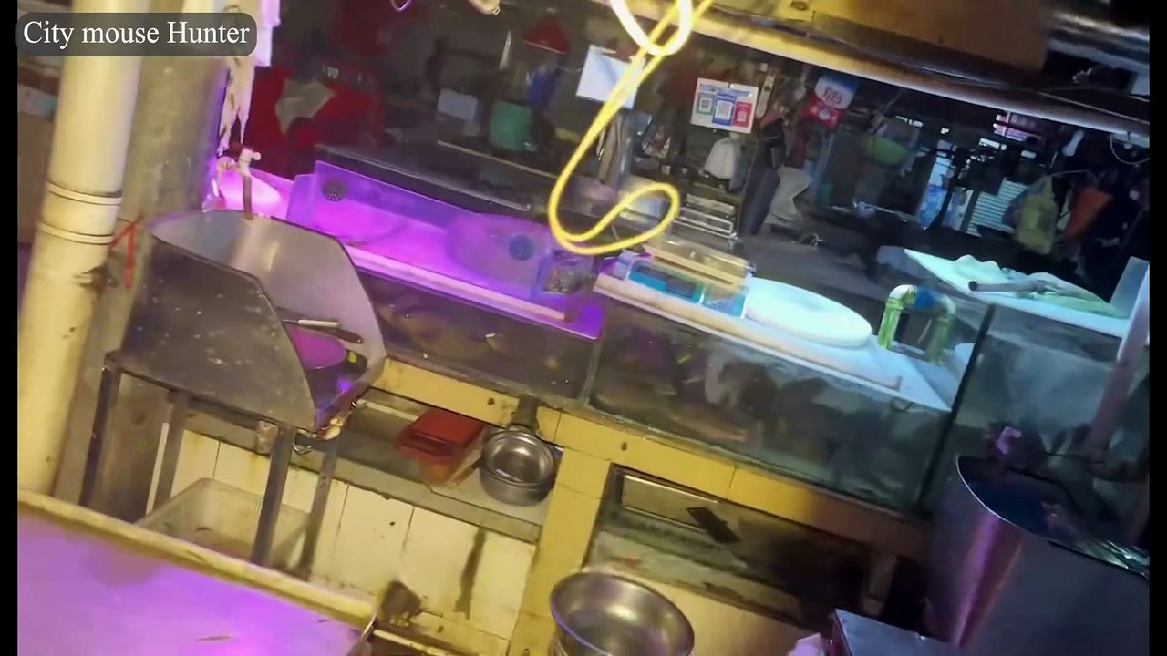 Night-Market Rat Hunt: 10 Headshots in 1 Hour! | Raw Pest-Control POV