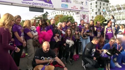 Aless Gibaja, rotundo: ¡Quiere que Alejandra Rubio y Carlo Costanzia se casen ya!