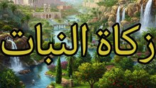 تحفة الملوك (10)