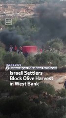 Israeli Settlers Block Olive Harvest In West Bank