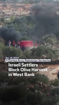 Israeli Settlers Block Olive Harvest In West Bank