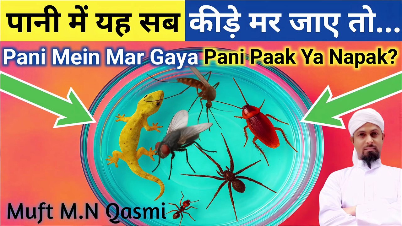 Pani Me Chipkali, Makdi, Cockroach Ya Chinti Mar Jaye To Kya Pani Napaak Ho Jata Hai? Islami Hukm