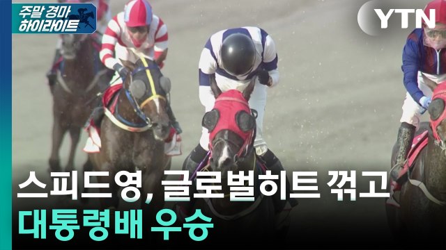 [주간 경마] 스피드영, 글로벌히트 꺾고 대통령배 우승 / YTN