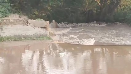 Video: सागरमल गोपा शाखा की नहर टूटी, खेत हुए जलमग्न... फसलें चौपट
