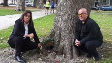 #348.1 - No House? Squat a Tree! - JACK&JOZEF -
