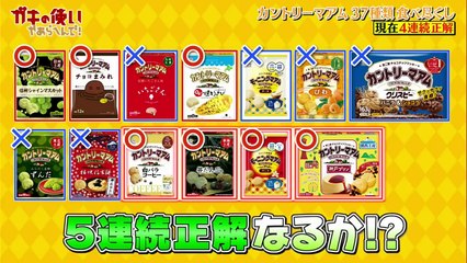 ダウンタウンのガキの使いやあらへんで 2025年日10月19日