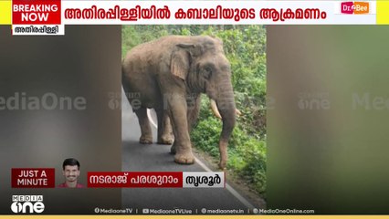 ആതിരപ്പള്ളിയിൽ വാഹനങ്ങൾക്ക് നേരെ കാട്ടാന ആക്രമണം