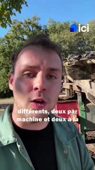 Ce producteur de Dordogne a perdu 60% de sa production de noix à cause de la grêle