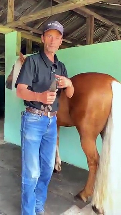 #farriers_#asmr_#horse_#satisfying_#farrierlife_#hoof_#hooftrimming_#horsecare_#viral_#short(360p)