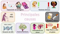 Cáncer de mama - La explicación más completa #elcuerpoymas #salud #medicina #Cancerdemama
