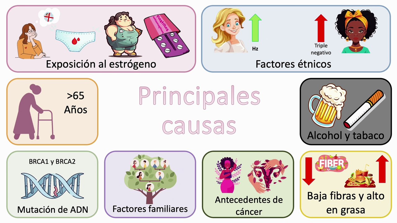 Cáncer de mama - La explicación más completa #elcuerpoymas #salud #medicina #Cancerdemama