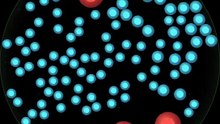 Red vs Blue Balls Game _ Viral Chaos Challenge
