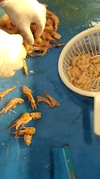 Karides Temizleme!!!